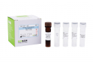 AccuPower® Serratia marcescens Real-Time PCR Kit