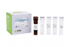 AccuPower® Clostridium sordellii Real-Time PCR Kit