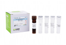 AccuPower® Neisseria gonorrhoeae Real-Time PCR Kit