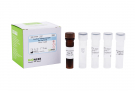 AccuPower® Neisseria meningitidis Real-Time PCR Kit