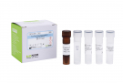 AccuPower® Granulicatella adiacens Real-time PCR Kit