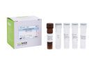 AccuPower® Citrobacter koseri Real-time PCR Kit
