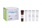 AccuPower® Corynebacterium striatum Real-time PCR Kit
