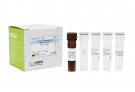 AccuPower® Bacteroides spp.  Real-time PCR Kit