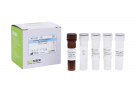 AccuPower® Candida guilliermondii Real-time PCR Kit