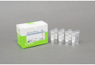 AccuPower® Vibrio 3plex Real-Time PCR kit