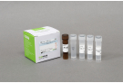 AccuPower® Mackerel Real-Time PCR kit