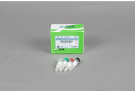 AccuRapid™ Maxi Protein Expression kit (1 reaction)