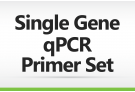 Single Gene qPCR Primer Set, qPCR primer