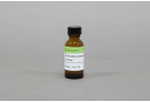 C6 Disulfide phosphoramidite (0.1 mmol)