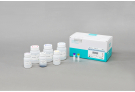 MagListo™ 5M Viral DNA/RNA Extraction Kit