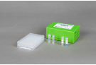 AccuPower® ETEC-Pili 5-Plex PCR Kit