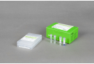 AccuPower® Salmonella spp. 3-Plex PCR Kit