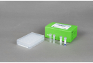 AccuPower® ETEC-Toxin 4-Plex PCR Kit