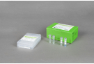 AccuPower® Bacterial Poultry 3-Plex PCR Kit