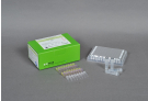 AccuPower® Norovirus Real-Time RT-PCR Kit