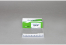 AccuPower®qPCR Array System: Human Immune qPCR Panel Kit