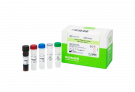 AccuPower® SARS-CoV-2 Multiplex Real-Time RT-PCR Kit