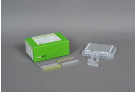 AccuPower® New Inf A (H1N1) Real-Time RT-PCR Kit