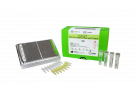 AccuPower® SARS-CoV-2 Variants ID Real-Time RT-PCR Kit(Premix)