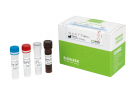 AccuPower® SARS-CoV-2 Variants ID3 Kit(RUO, Master mix)