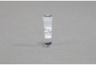 AccuNanoBead™ Protein L Magnetic Nanobeads, size 400nm (40 mg/1 ml, 5 ea)