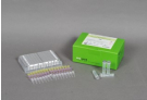 AccuPower® TB & MDR Real-Time PCR Kit