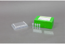 AccuPower® XDR-TB Real-Time PCR Kit-A