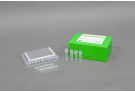 AccuPower® XDR-TB Real-Time PCR Kit-B